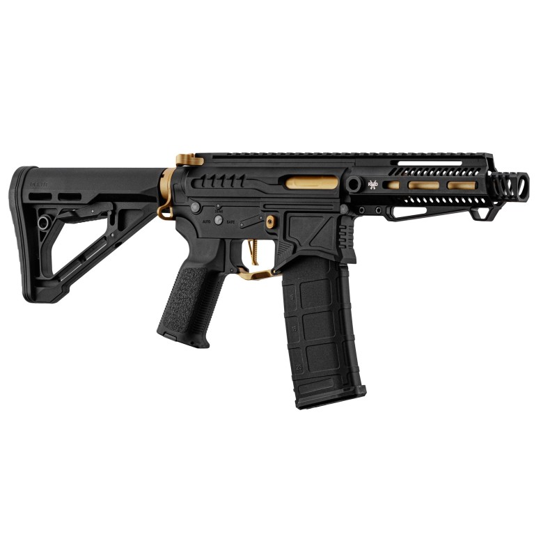 Réplique R15 mod 1 Zion Arms noire et or garde main court
