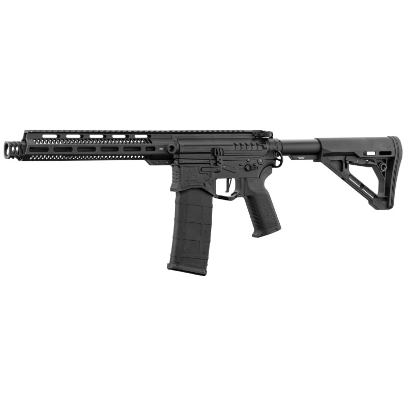 Réplique R15 mod 1 Zion Arms noire garde main long