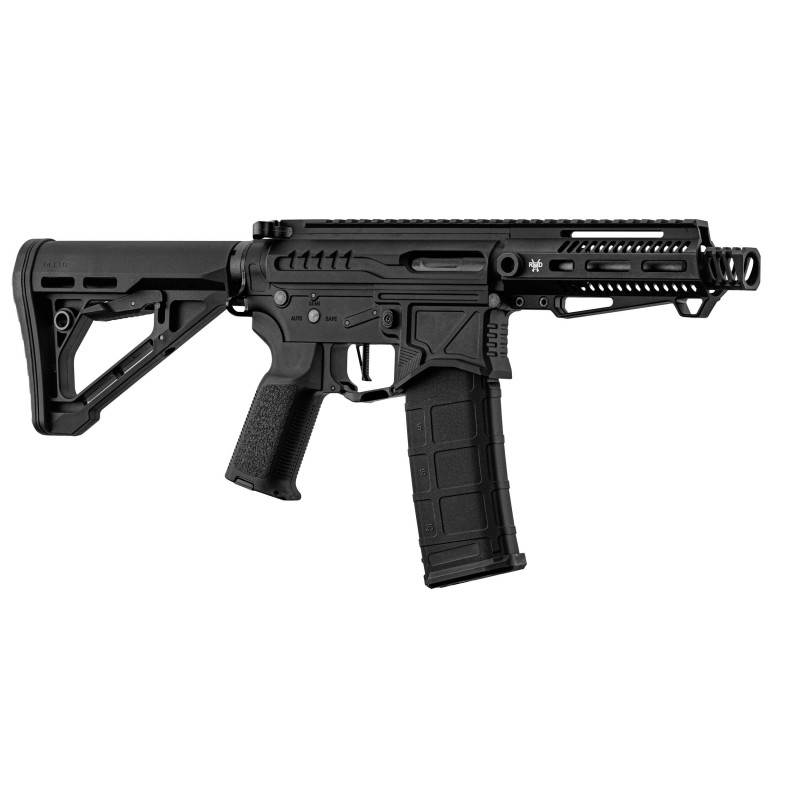 Réplique R15 mod 1 Zion Arms noire garde main court