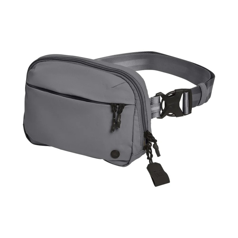 Everyday Fanny Pack+