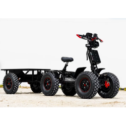 REMORQUE POUR EZ RAIDER non électrique