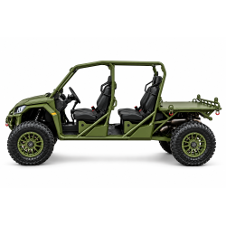 BUGGY