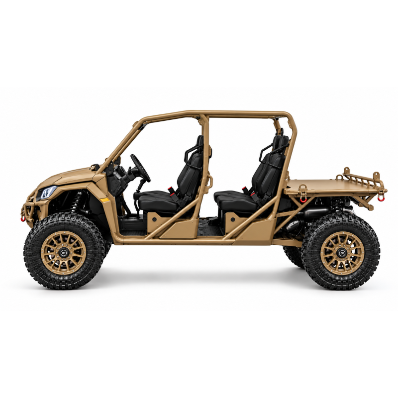 BUGGY