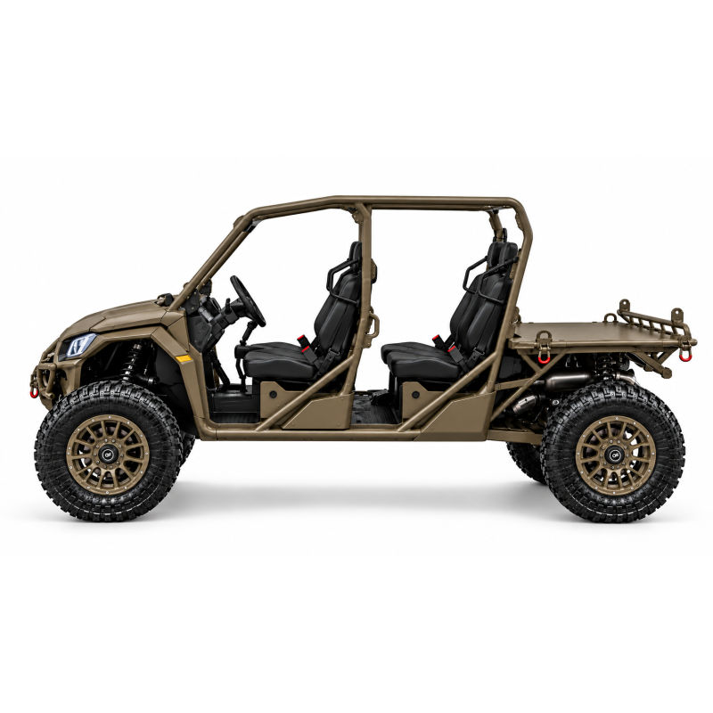 BUGGY