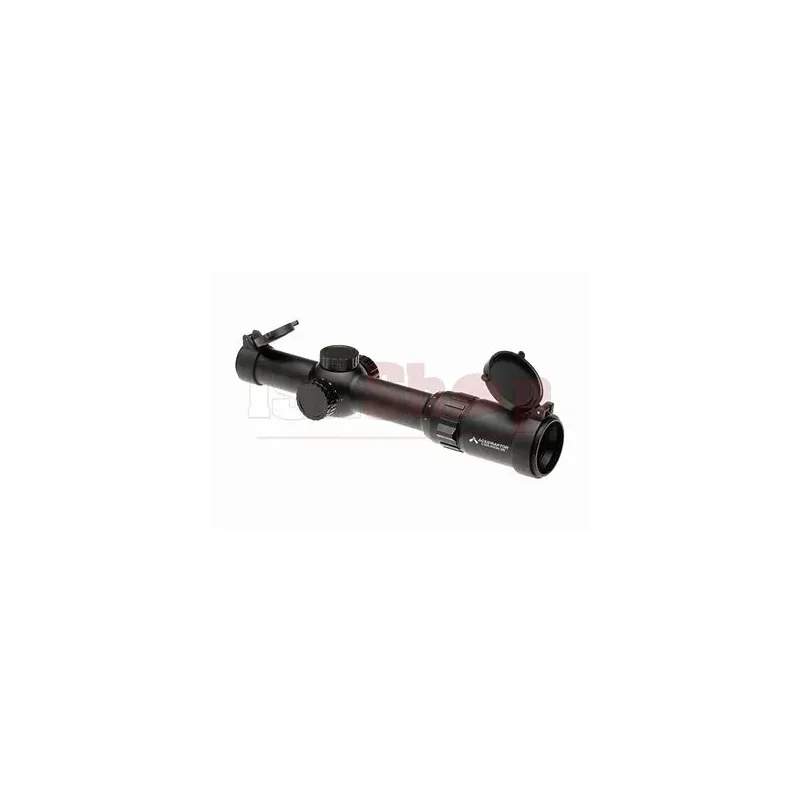 SLx6 1-6X24 FFP ACSS Raptor 5.56