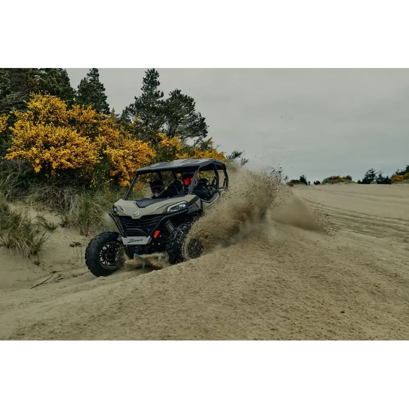 BUGGY ZFORCE 950 Sport 4