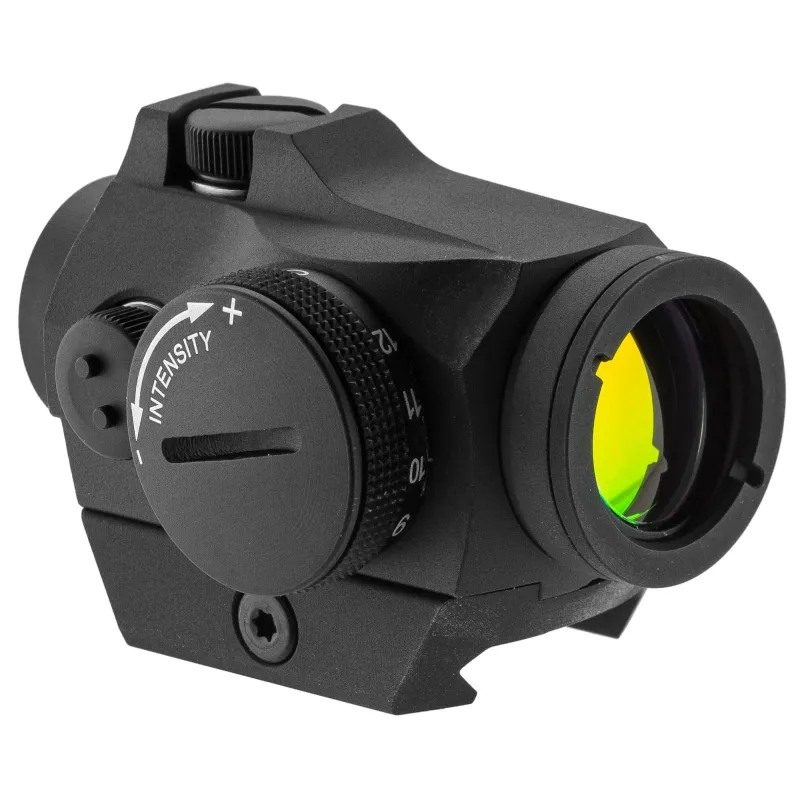 Aimpoint Micro H2 2MOA