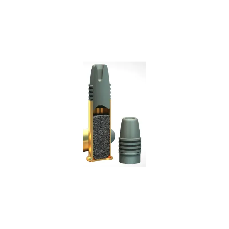 22LR SUBSONIQUES X50